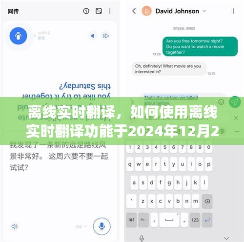 离线实时翻译功能使用指南，如何使用至2024年12月？