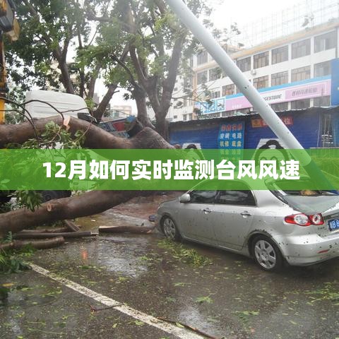 实时检测12月台风风速的方法