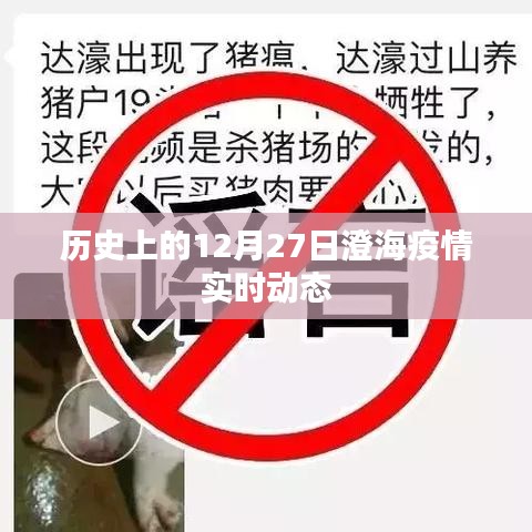 澄海疫情历史实时动态，聚焦十二月二十七日数据