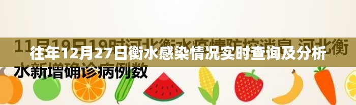 衡水往年12月27日感染实时查询及分析简报