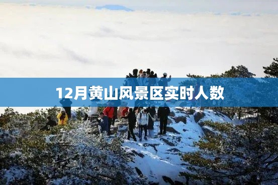 黄山风景区12月实时游客数量统计