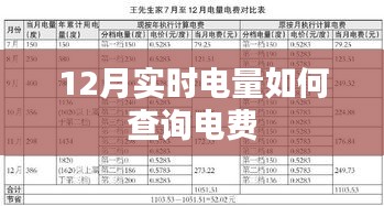 12月实时电量查询与电费账单概览