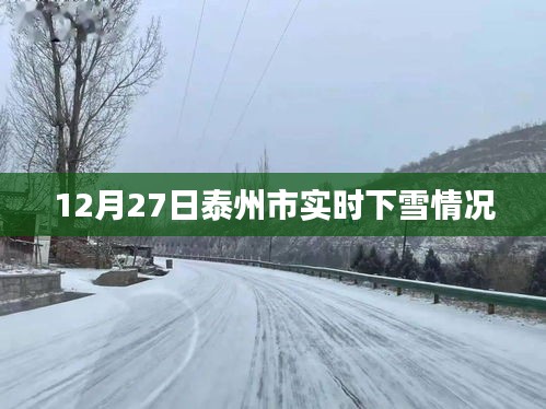 泰州实时雪况更新，最新下雪动态