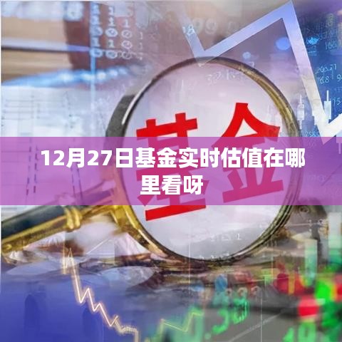 12月27日基金实时估值查看指南