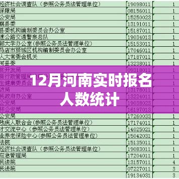 河南12月实时报名人数统计报告