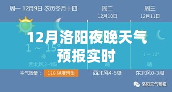 2024年12月30日 第23页