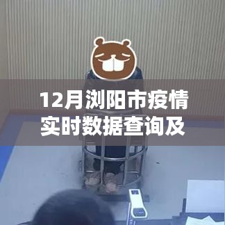 浏阳市12月疫情实时数据查询与深度分析