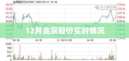 金辰股份最新实时动态报道（附最新数据）