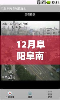 阜阳阜南路况实时直播，最新路况信息掌握在手