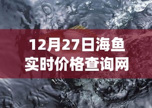 海鱼实时价格查询系统上线，轻松掌握最新价格信息