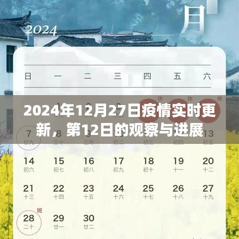 2024年12月30日 第13页