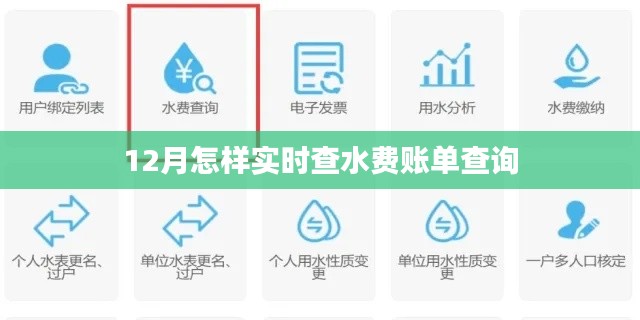 实时查水费账单查询方法，12月账单查询攻略