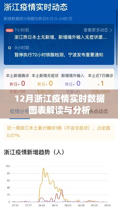 浙江疫情实时数据图表解读与分析报告