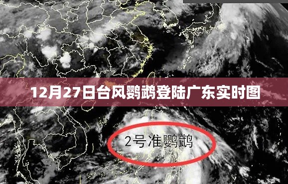 台风鹦鹉登陆广东现场实拍图，风雨交加，紧急应对