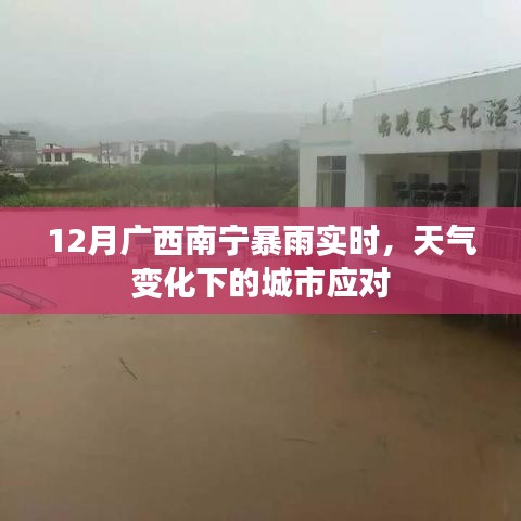 广西南宁暴雨实时更新，城市如何应对天气变化挑战