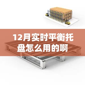 实时平衡托盘使用指南，12月操作详解