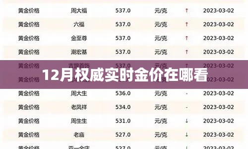 12月黄金价格实时查询权威平台推荐