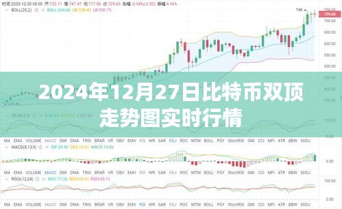 比特币双顶走势图实时行情（最新更新至2024年）