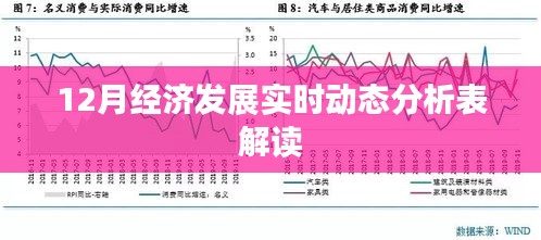 12月经济发展动态分析表解读报告