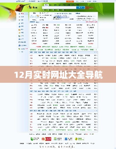 实时网址导航大全（12月版）