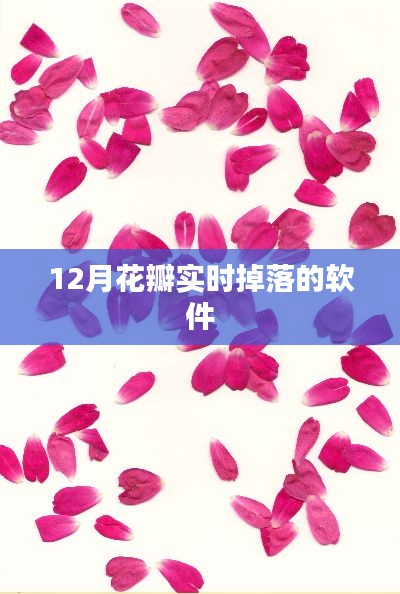 花瓣实时掉落软件，12月精彩呈现