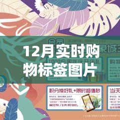 12月购物新潮流，高清标签图片揭示实时趋势