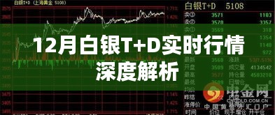 白银T+D实时行情深度解析（最新动态）