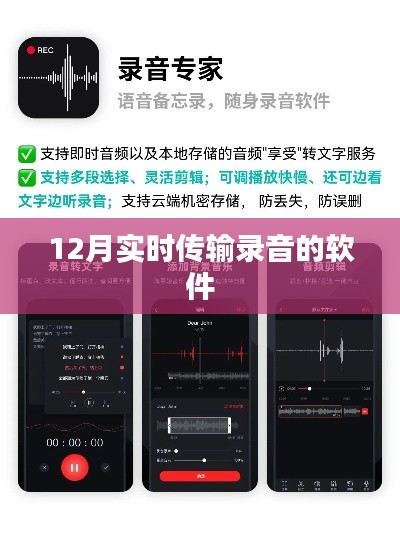 实时录音传输软件，12月最新推荐