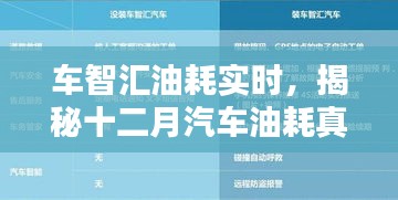 车智汇实时油耗监测，十二月汽车油耗真相揭秘