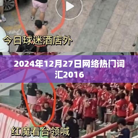 网络流行词汇演变之旅，从2016到未来的趋势分析