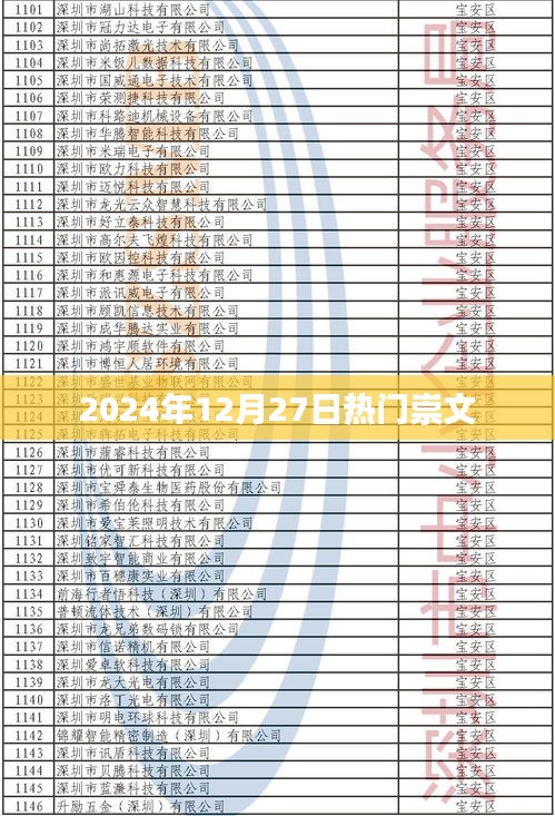 崇文热点资讯，2024年12月27日热门事件聚焦