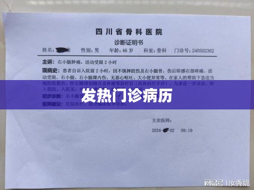 发热门诊病历详述