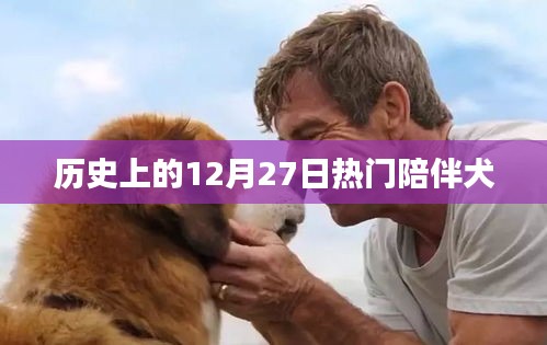 历史上的热门陪伴犬，犬类陪伴的温馨记忆