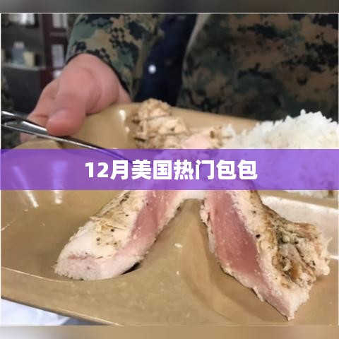 美国12月流行包包盘点