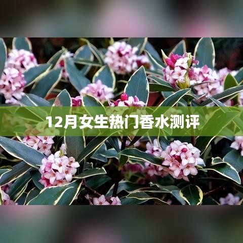 2025年1月2日 第11页