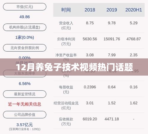 冬季兔子养殖技术视频解析，热门养殖知识与技巧