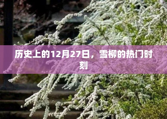 雪柳热门时刻，历史上的12月27日纪念