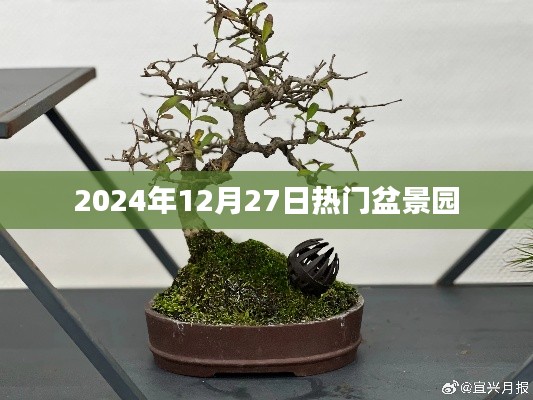 盆景园热门景点介绍，探访2024年12月27日必游盆景园