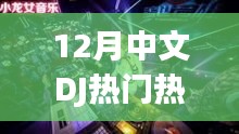 冬季热门中文DJ曲单大放送