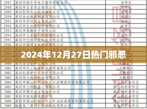 2024年12月27日热门邪恶