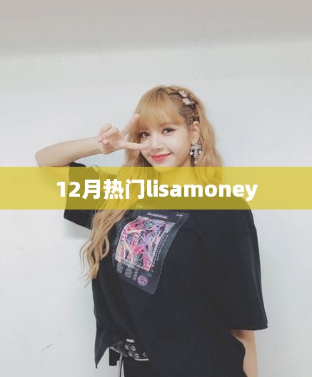 Lisamoney 12月热门趋势解析