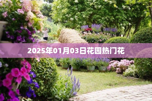 花园热门花卉盘点，展望2025年一月花开