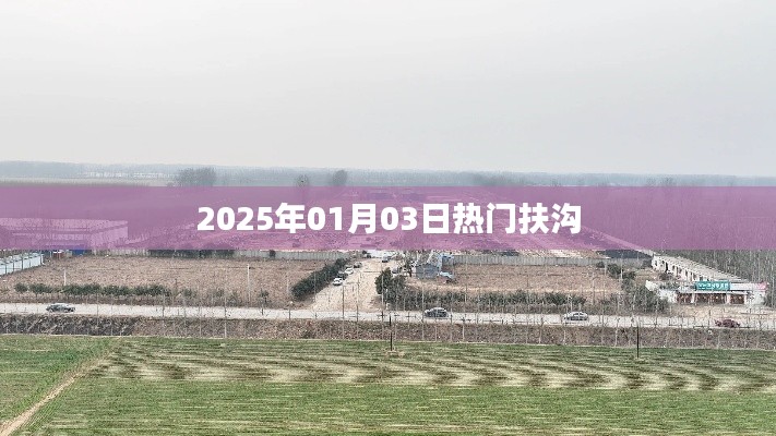 扶沟热点速递，2025年1月3日