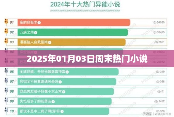 『周末必读，2025年热门小说一览』