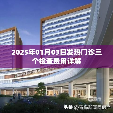 2025年1月3日发热门诊三项检查费用解析