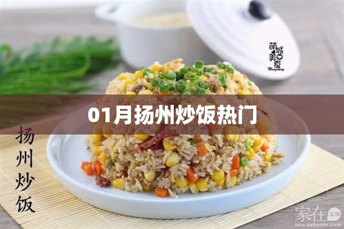 扬州炒饭一月热门风潮来袭