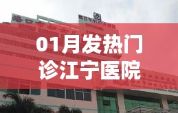 江宁医院发热门诊一月情况概览