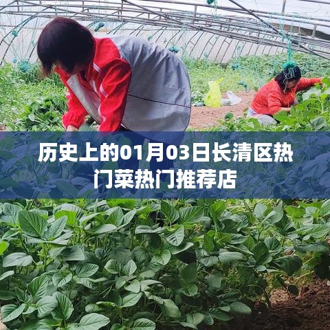 长清区热门菜推荐店，历史一月三日美食榜单