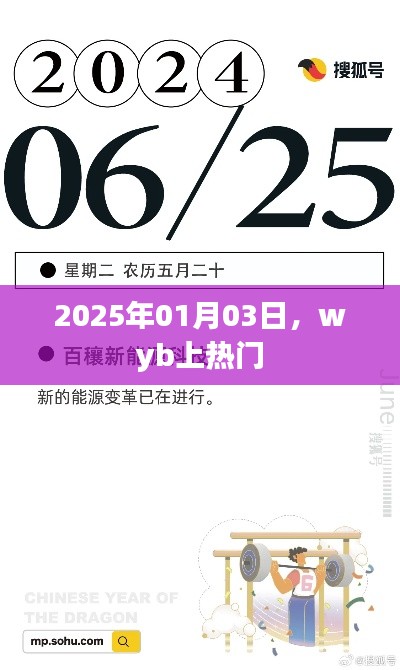 Wyb在2025年1月3日登上热搜