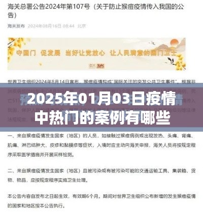 疫情中的热门案例，探寻2025年1月3日的热点事件